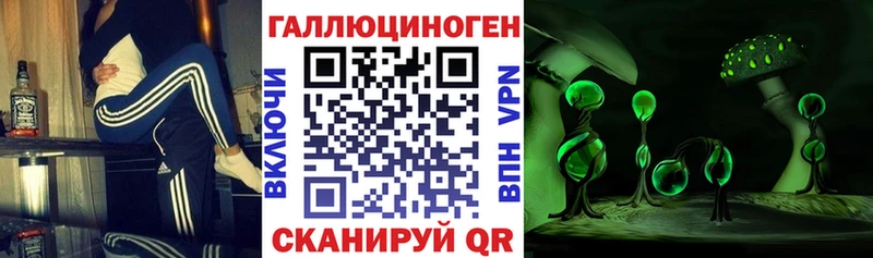 купить  сайты  Бахчисарай  Псилоцибиновые грибы Psilocybe 